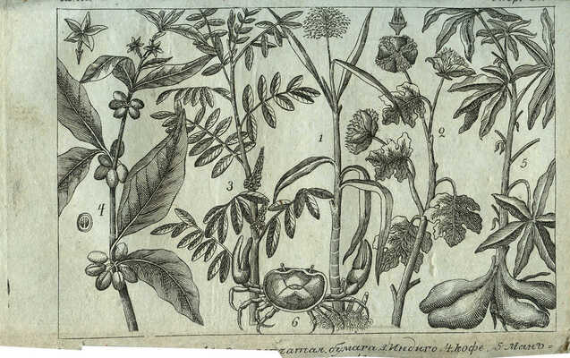 Циммерман Э.А.В. Приятное, нравоучительное и достопамятное обозрение путешествий и открытий XVIII века... Ч.3. М.,1807.